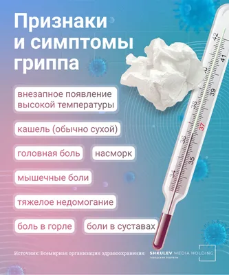 О женщинах, дураках, работе и возрасте: яркие цитаты Михаила Жванецкого -  Телеграф