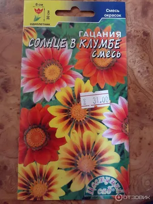 Купить Газания Нью Дей Йеллоу F1 | Gazania New Day Yellow (30 семян) •  Гавриш (Россия) • Газания Нью Дей Оранж Клиар F1 | Gazania New Day Clear  Orange F1. Растения неприхотливы,