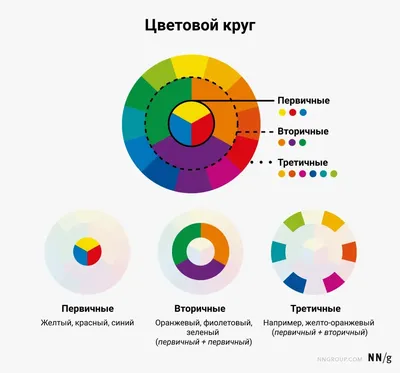 видимый свет. оптическая длина волны. электромагнитный видимый цветовой  спектр для человеческого глаза. векторный градиент Иллюстрация вектора -  иллюстрации насчитывающей пурпурово, физика: 247689957