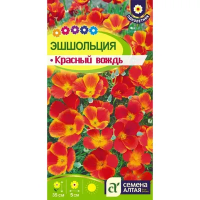 Семена цветов Эшшольция, смесь окрасок, 0,2 г (5486172) - Купить по цене от  19.30 руб. | Интернет магазин SIMA-LAND.RU