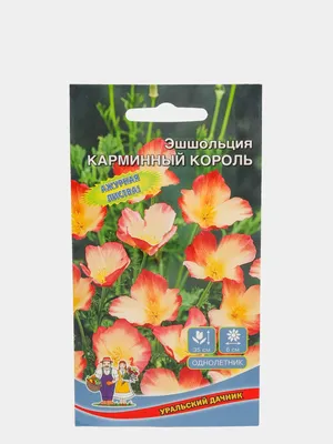 Эшшольция - золото солнца - Садовые цветы - Лепесток - Любительское  цветоводство