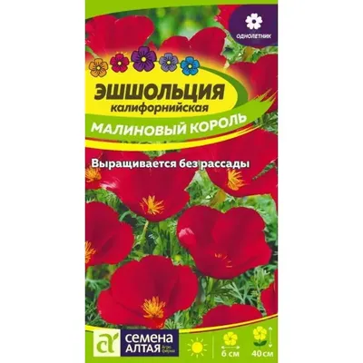 Семена эшшольция тропикана (г) 0,2гр купить в интернет-магазине, доставка  по России