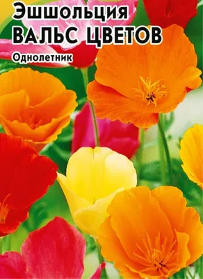 Эшшольция \"Фиеста\", семена, цветы купить по цене 49 ₽ в интернет-магазине  KazanExpress