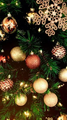 Обои, новый год #обои #новыйгод #елка #украшения #соня | Christmas  wallpaper, Christmas pictures, Christmas wallpaper hd