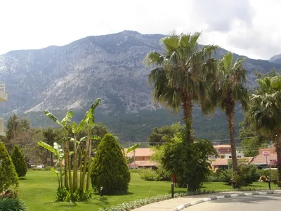 Walking in Kemer. Turkey. #kemer #turkey #vacationinkemer #traveltoturkey  #Türkiye - YouTube