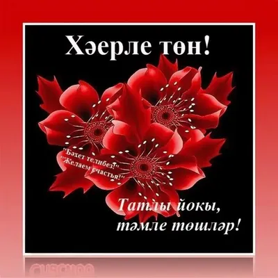 Тыныч тоннэр - фото - pictx.ru