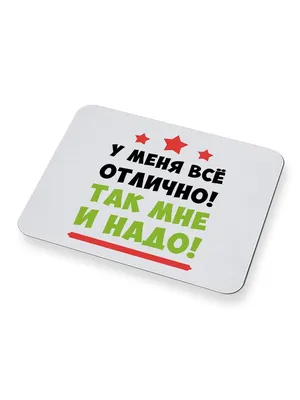 Тетрадь в клетку A5 (2шт.), 48 листов, у меня всё отлично - купить с  доставкой по выгодным ценам в интернет-магазине OZON (675645073)