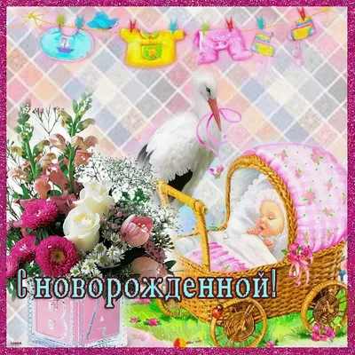 У нас родилась внучка!! — 33 ответов | форум Babyblog