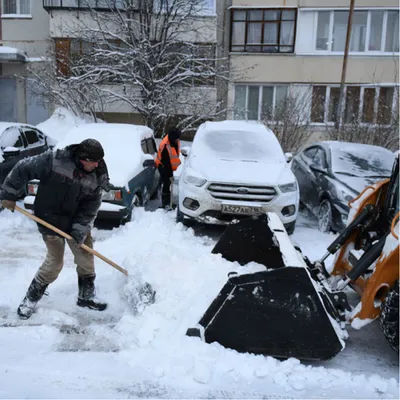 Когда уборка снега опасна для жизни — предупредили врачи Клиники Мэйо -  новости Хибины.ru / Новости за декабрь 2023