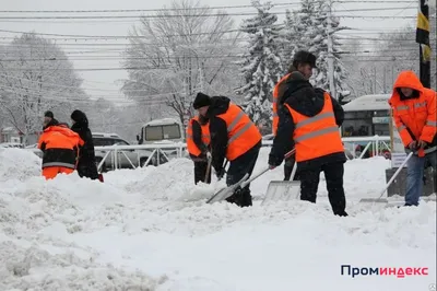 Субботник. Уборка снега