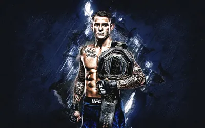 UFC 2. Обои для рабочего стола. 2880x1800