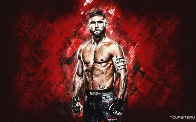 Обои Спортивная игра EA SPORTS UFC » Скачать красивые HD обои (картинки) на рабочий  стол (экран) и на телефон бесплатно