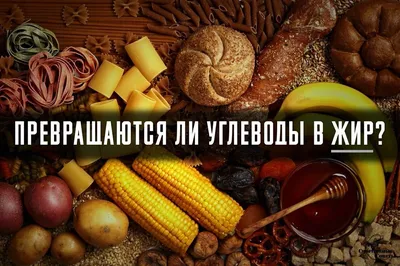 Что такое углеводы? Функции, классификация и свойства