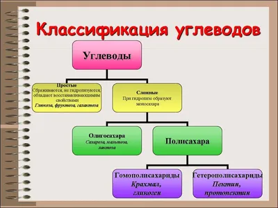 Углеводы - Sektascience: научно-популярный журнал