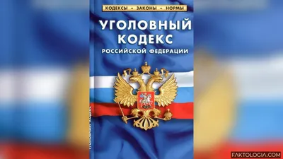 Уголовный Кодекс в картинках появился в Вологодской области - KP.RU