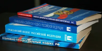 В Рогачеве возбуждено уголовное дело за оскорбление начальника милиции