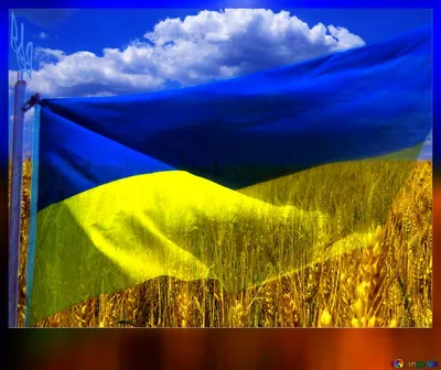 Обои флаг, украины, тризуб картинки на рабочий стол, фото скачать бесплатно