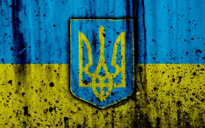 Скачать обои Ukraine, Девушка, Украина, Флаг украины в разрешении 1920x1080  на рабочий стол