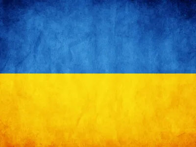 Поляна подсолнухов похожая на флаг Украины - обои на рабочий стол