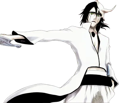 Ulquiorra Cifer | Fight of Characters Wiki | Fandom