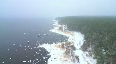 Чёрно-белые умиротворяющие пейзажи [ФОТО]