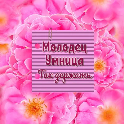 ХУДИ ОВЕРСАЙЗ \"УМНИЦА\" by @SLOVODNA