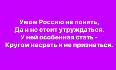 Умом Россию не понять, аршином общим не измерить… | Севстар