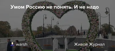 Умом Россию не понять