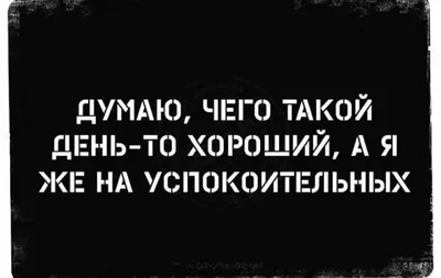 спать :: юмор (юмор в картинках) :: универ :: котэ (прикольные картинки с  кошками) / смешные картинки и другие приколы: комиксы, гиф анимация, видео,  лучший интеллектуальный юмор.