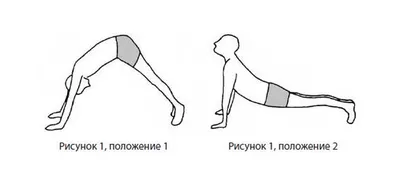 Упражнения для позвоночника поля брэгга в картинках