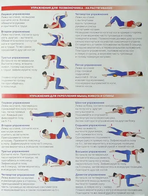 Картинки по запросу упражнения для растяжки спины | Упражнения, Тренировка  мышц живота, Растяжки