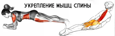 Упражнения при боли в позвоночнике, спине, шее, пояснице | Реабилитация и  ЛФК | Дзен