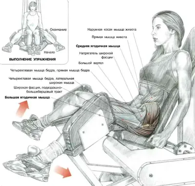 Тренажер для мышц тазового дна, оборудование для упражнений на внутренние  бедра, растяжки, инструменты для женщин в форме ягодиц | AliExpress
