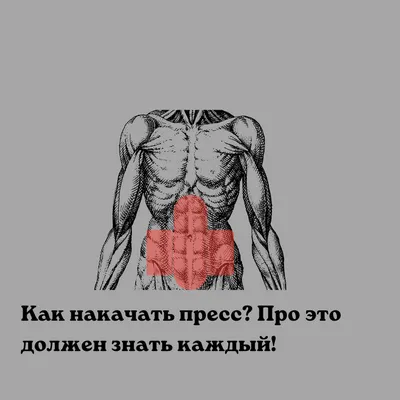 Круговая тренировка: принципы построения и примеры тренировок – ДОН-Спорт