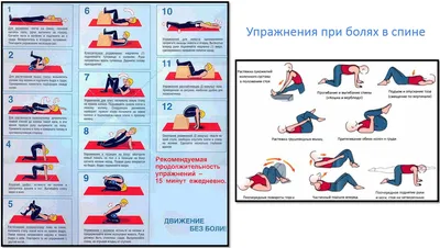 Упражнения при сколиозе: 5 эффективных упражнений | Упражнения, Сколиоз,  Врачи