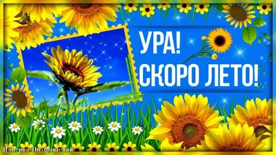 Ура лето картинки