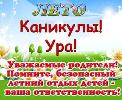 Ура лето - фото и картинки: 60 штук