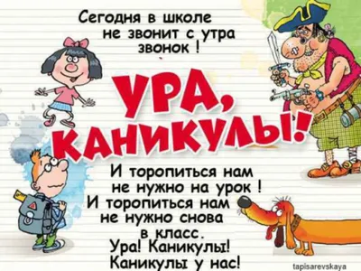 Картинки красивые ура лето (54 фото) » Картинки и статусы про окружающий  мир вокруг