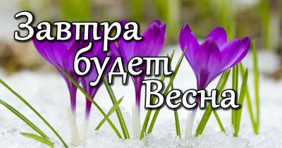 Татьяна Осипова - #ура #весна #солнце🌞 | Facebook