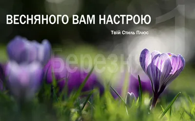 Что уже весна наступила??? А это значит весенние акции? УРА!!!!