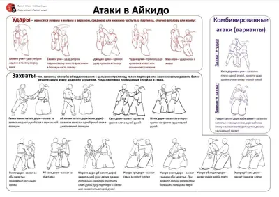 Кому и зачем стоит заниматься айкидо — боевым искусством мирных воинов -  Лайфхакер