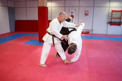 Aikido Стоковые фотографии, картинки, все без лицензионных отчислений -  Envato Elements