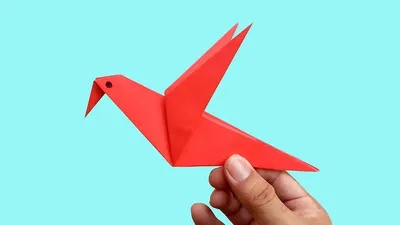 Урок Оригами. Рождественская Звезда Из Бумаги Фотография, картинки,  изображения и сток-фотография без роялти. Image 88939507