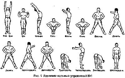 Утренняя гигиеническая гимнастика для школьников | БОЕВЫЕ ИСКУССТВА ДЛЯ  ДЕТЕЙ