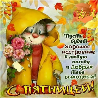 Картинки красивые добрые утренние приветствия друзьям в осенний день: 1 тыс  изображений найдено в Яндекс Картинках | Thanks card, Pumpkin images, Happy  friday