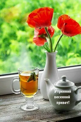 Доброе утро! Хороший утренний привет! | sFoty Светлана Пюро-Дятловская |  Дзен