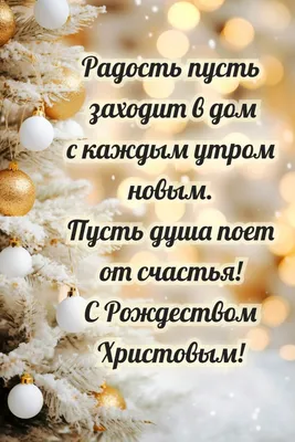 Доброе утро! Чистых помыслов и добрых дел в Рождество и всегда! - Лента  новостей Мелитополя