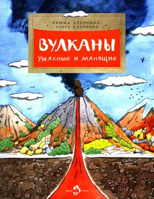 Страшные Леса С Забором И Ужасные Ужасные Вещи Которые Скрываются В Темноте  Дождь Моросящий Дождь И Утренние Сумерки Копирование Простр — стоковые  фотографии и другие картинки Дерево - iStock