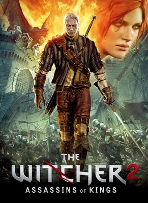 The Witcher 2: Assassins of Kings - описание, системные требования, оценки,  дата выхода