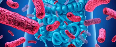 Знакомьтесь : инфекционные болезни во всей красе | Пикабу